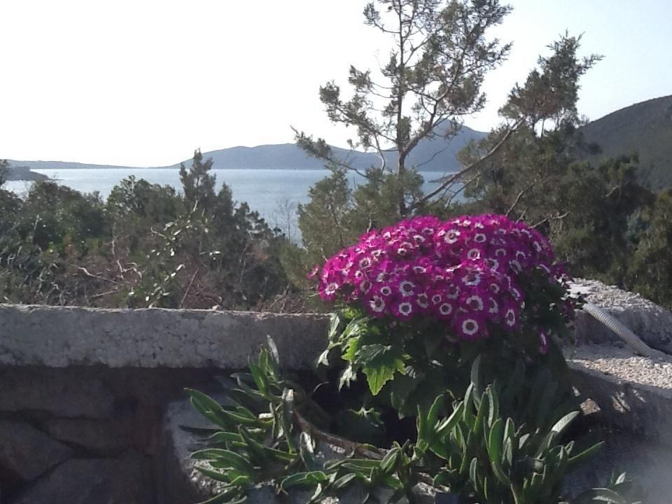 Villa Mirista Luštica Habitación foto